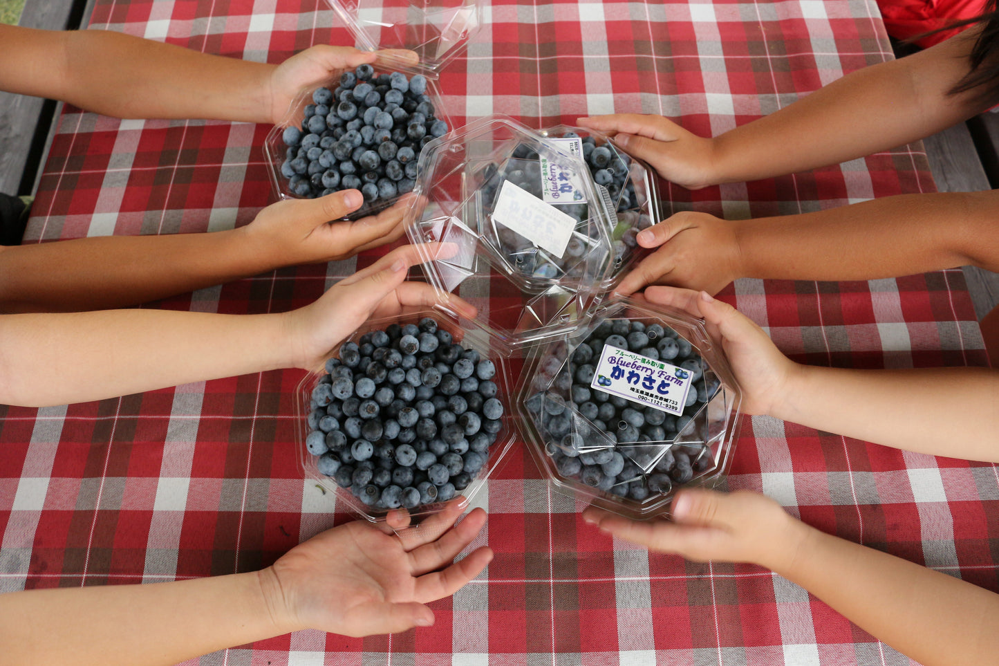ブルーベリー(冷凍)1kg