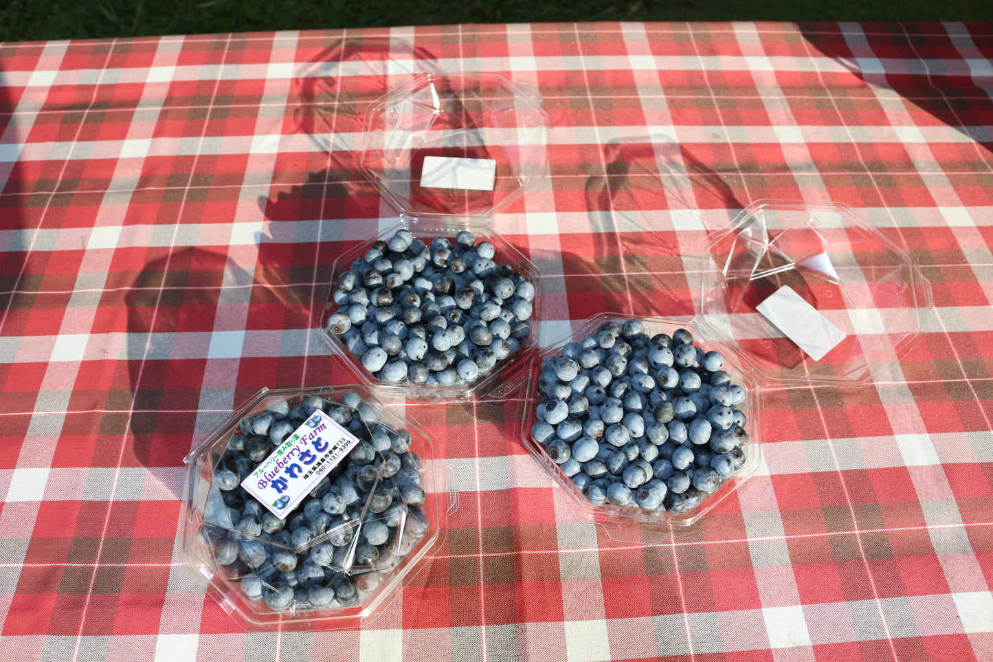 ブルーベリー(冷凍)1kg