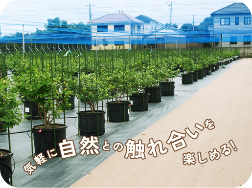 気軽に自然との触れ合いを楽しめる