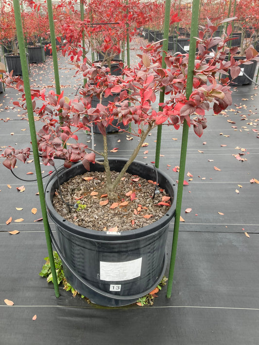 久々のブログ更新