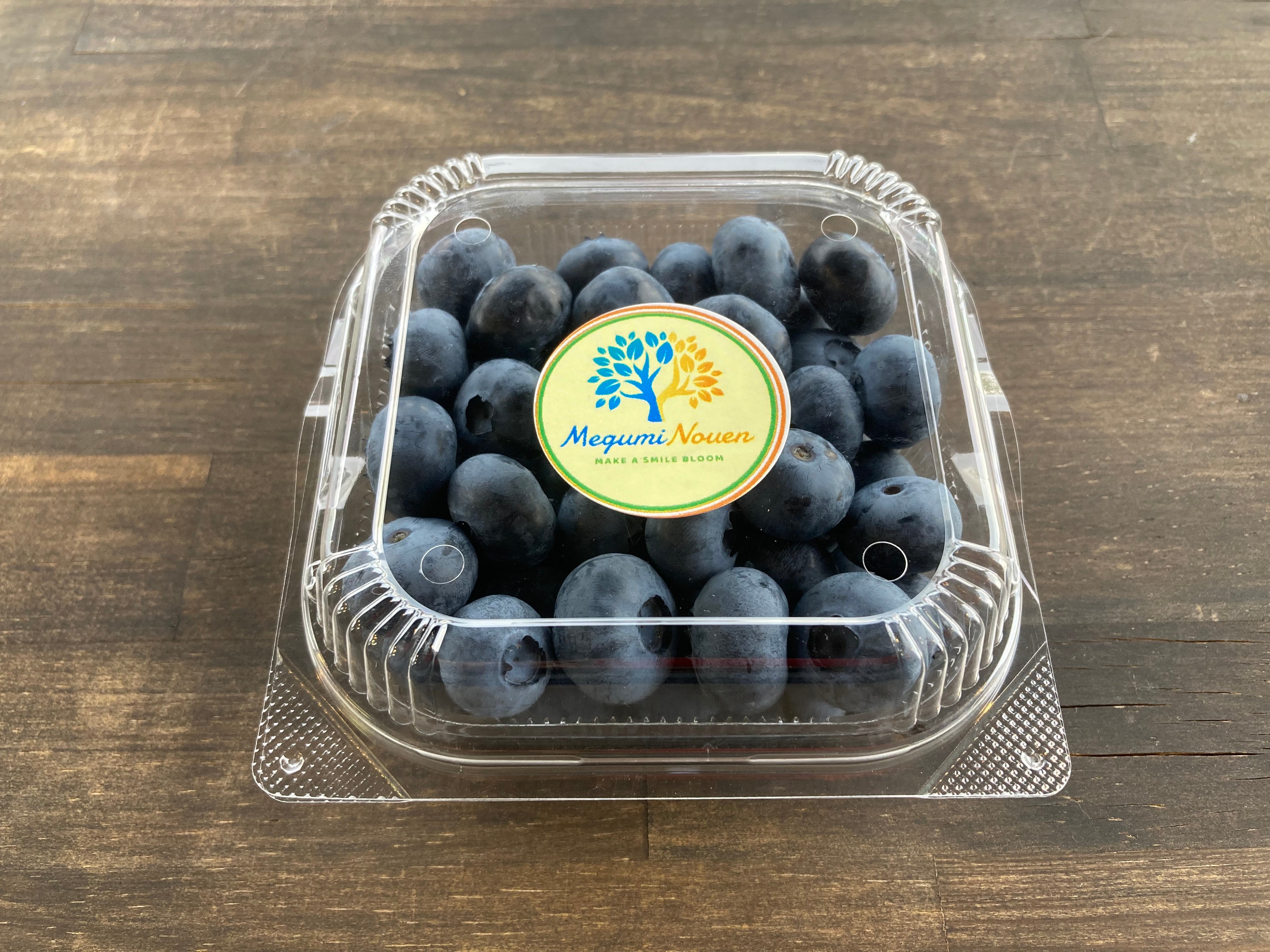 オンラインショップ商品一覧 – 恵農園・伊奈ファーム