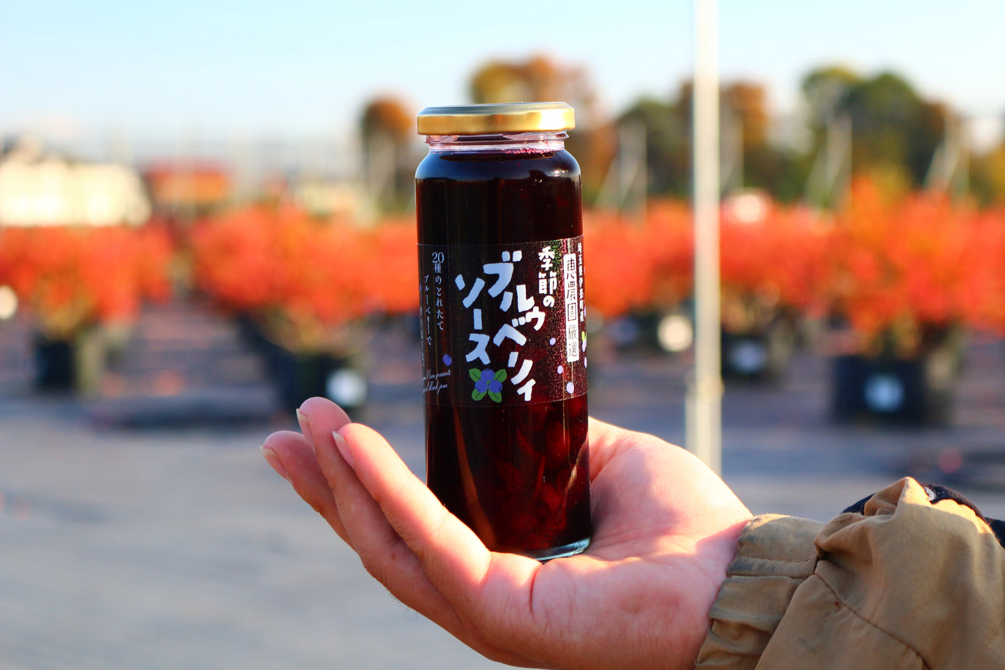 恵農園のブルーベリーソース