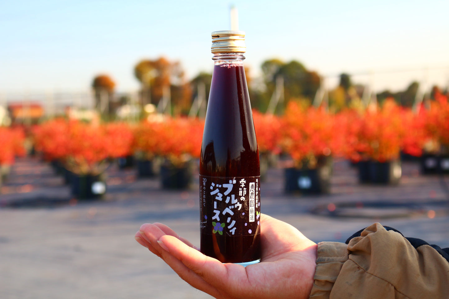 恵農園のブルーベリージュース