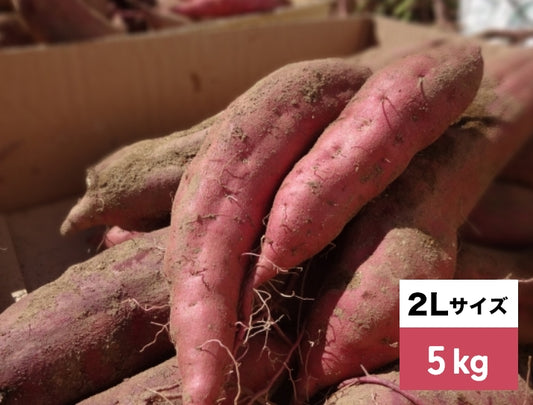 さつまいも2Lサイズ（500g～800g程度）5kg